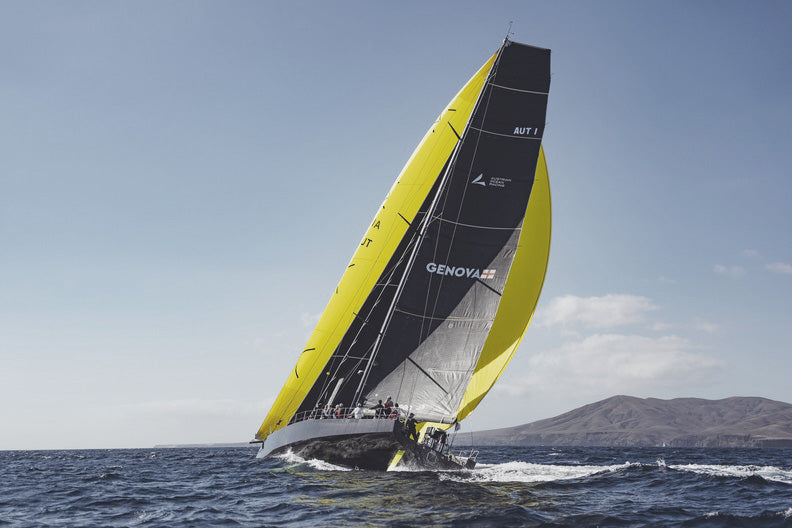 VO65 Sisi@RORC Transatlantic Race 2024. Photo: James Mitchell