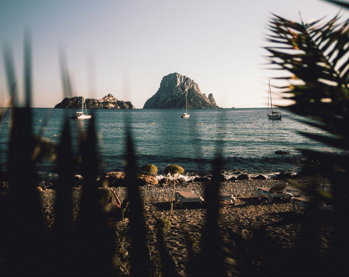 Photo: Jose Llamas - Unsplash